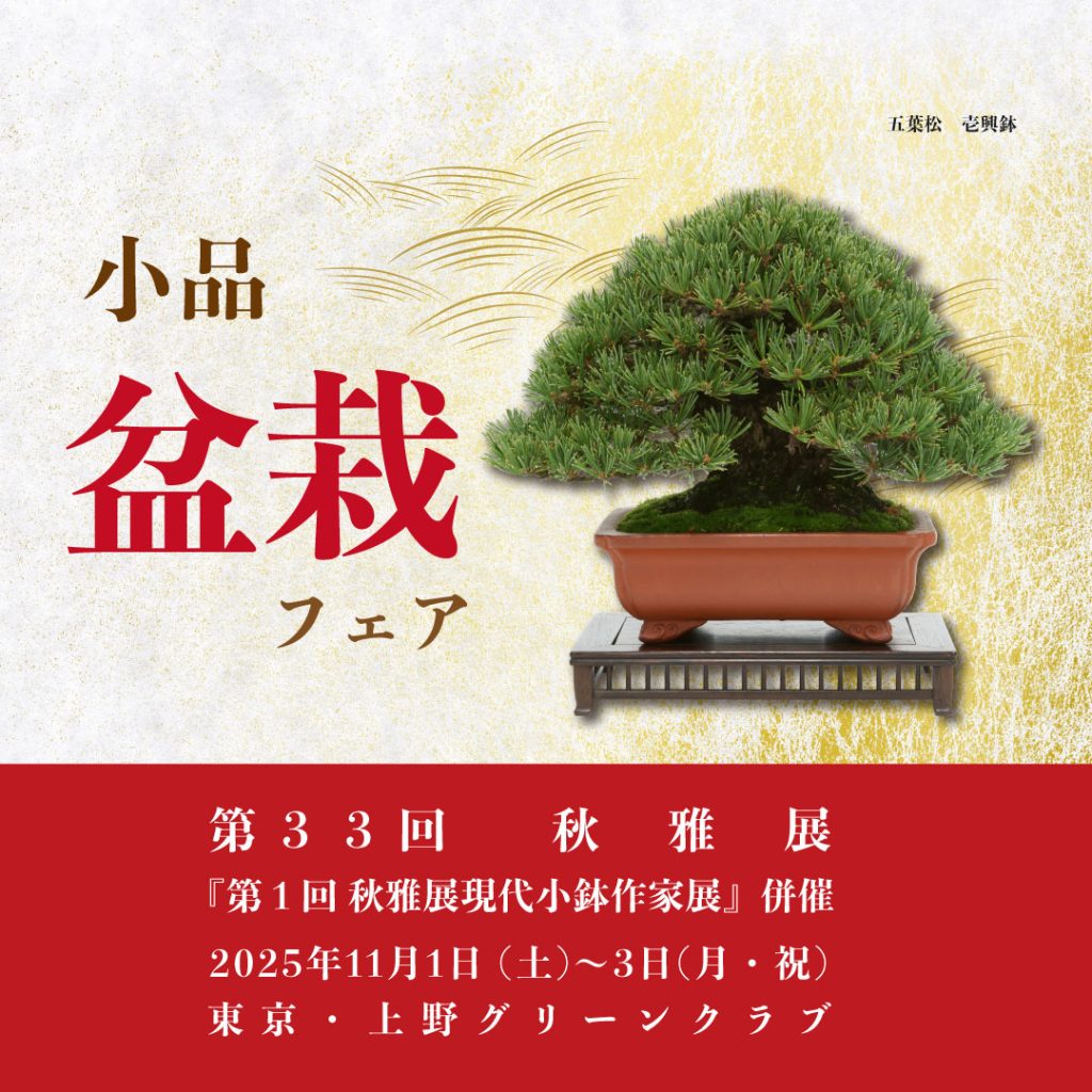 国風盆栽展〈第61回〉 国風盆栽展 日本盆栽協会 第61回 国風盆栽展 51-61