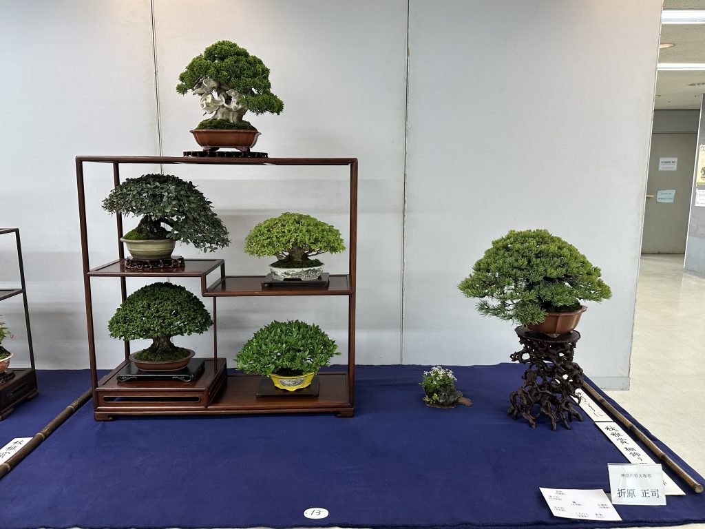 第33回秋雅展受賞席のご紹介