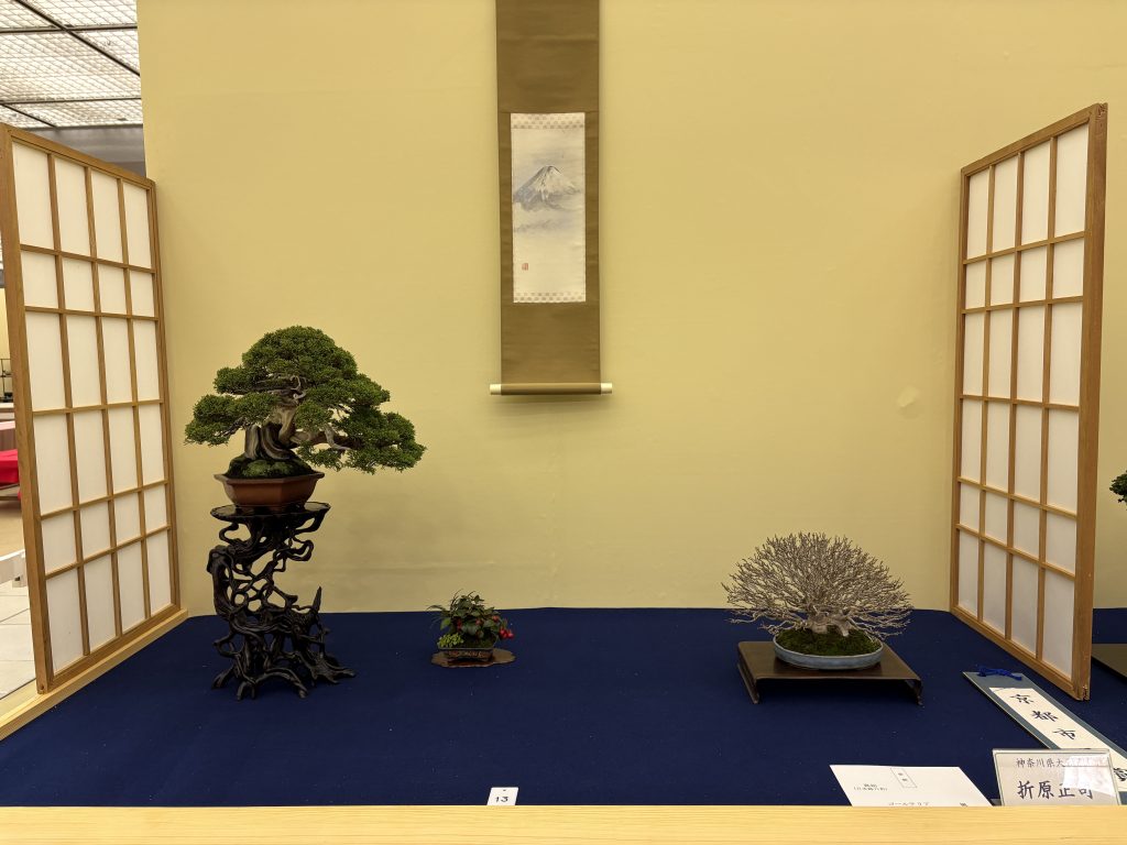 雅風展 第51回雅風展受賞席 - 公益社団法人全日本小品盆栽協会